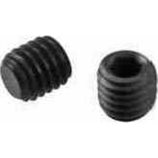 Шуруп Torx M4x3,2 (990.079.00)