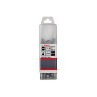 100 БІТ LS0.8x5.5 25мм ECO (2608521226)