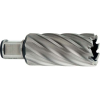 Корончате свердло HSS 12х55 мм, Weldon19 (626521000)