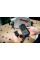 Tracker для iOS (626965000)