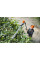Ножиці-кущоріз HLA 86 STIHL (48590112933)