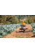 Культиватор MH 700.1 STIHL (62510113913)