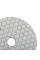 Круг алмазний полірувальний 100x3x15 CleanPad #100  (80115429035)