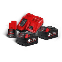 Акумулятор Li-Ion M18 NRG-502 (В5 2шт; з/у M12-18FC) +M12 B2 MILWAUKEE (4933459217)