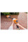 Мийка високого тиску акумуляторна RCA 20 STIHL (RA020117613)