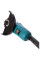 Кутова шліфувальна машина мережева GA9020 MAKITA (GA9020-promo-0125)