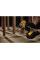 Шурупокрут акумуляторний DCF601 DeWALT (DCF601D2)