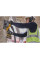 Штроборіз акумуляторний DCG200 DeWALT (DCG200T2)