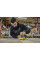 Машина шліфувальна ексцентрикова мережева DWE6423 DeWALT (DWE6423)