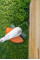 Мотокоса акумуляторна FSA 30 STIHL (FA100115710)