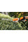 Ножиці кущові міні акумуляторні HSA 26 STIHL HA030113500 (HA030113500)