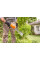 Ножиці кущові міні акумуляторні HSA 26 STIHL HA030113500 (HA030113500)