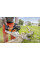 Пила ланцюгова акумуляторна MSA 60 C STIHL (MA040115804)