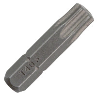 Насадка для загвинчування Bosch Standard Torx T40, 25 мм, 2 шт (2609255938)