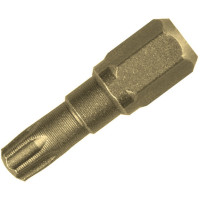 Біта Torsion TX 10x25 мм, 2 шт. (624430000)
