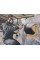 Пістолет для розпилювання фарби пневматичний FSP 600 HVLP METABO 601577000 (601577000)