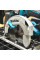 Пила дискова ручна акумуляторна DHS680Z MAKITA (DHS680Z)