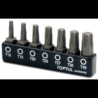 Набір біт (Torx: T10-T40) (GAAV0702)