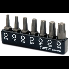 Набір біт (Torx: T10-T40) (GAAV0702)