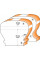 Фреза HM D=31,75 I=38 R=25,4 R2=9,52 S=12,7 L=87 Профіль=C (856.702.11)